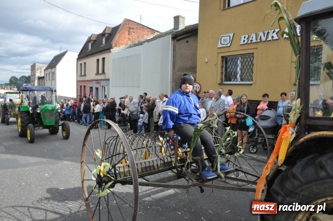 Zdjęcie w galerii na portalu naszraciborz.pl: Dożynki 2015 - święto plonów na 750-lecie miasta wiadomości z regionu