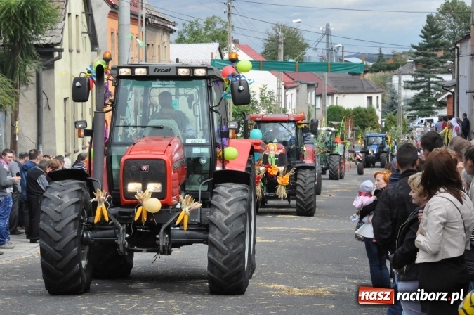 Zdjęcie w galerii na portalu naszraciborz.pl: Dożynki 2015 - święto plonów na 750-lecie miasta wiadomości z regionu