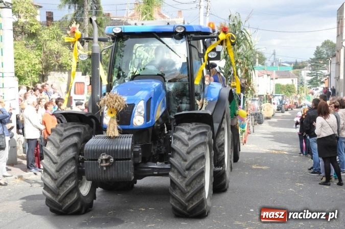 Zdjęcie w galerii na portalu naszraciborz.pl: Dożynki 2015 - święto plonów na 750-lecie miasta wiadomości z regionu