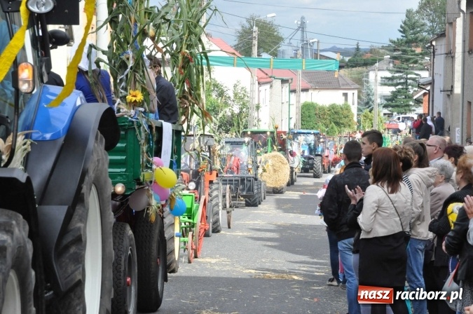 Zdjęcie w galerii na portalu naszraciborz.pl: Dożynki 2015 - święto plonów na 750-lecie miasta wiadomości z regionu