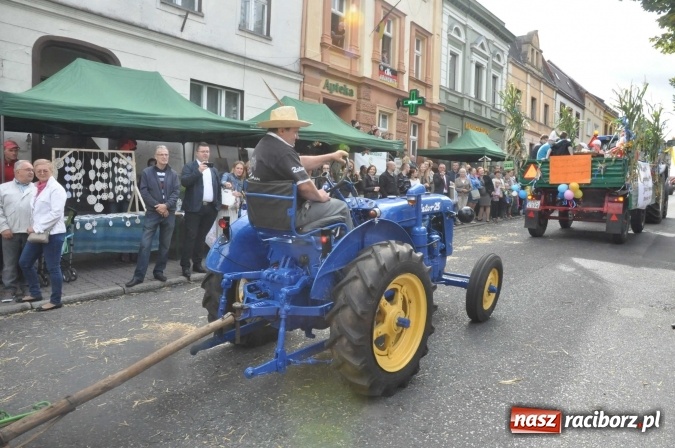 Zdjęcie w galerii na portalu naszraciborz.pl: Dożynki 2015 - święto plonów na 750-lecie miasta wiadomości z regionu