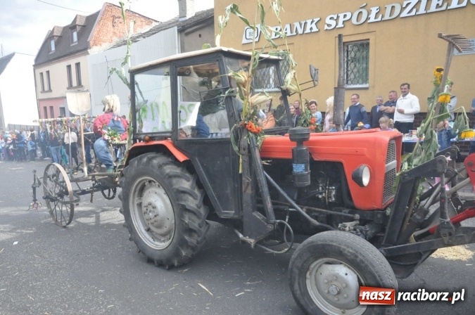 Zdjęcie w galerii na portalu naszraciborz.pl: Dożynki 2015 - święto plonów na 750-lecie miasta wiadomości z regionu