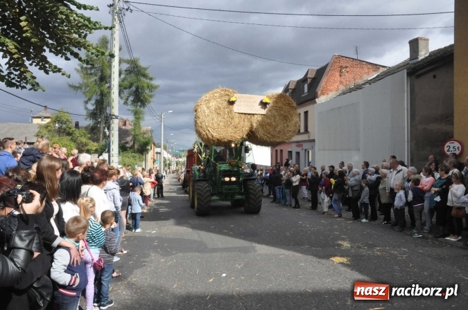Zdjęcie w galerii na portalu naszraciborz.pl: Dożynki 2015 - święto plonów na 750-lecie miasta wiadomości z regionu