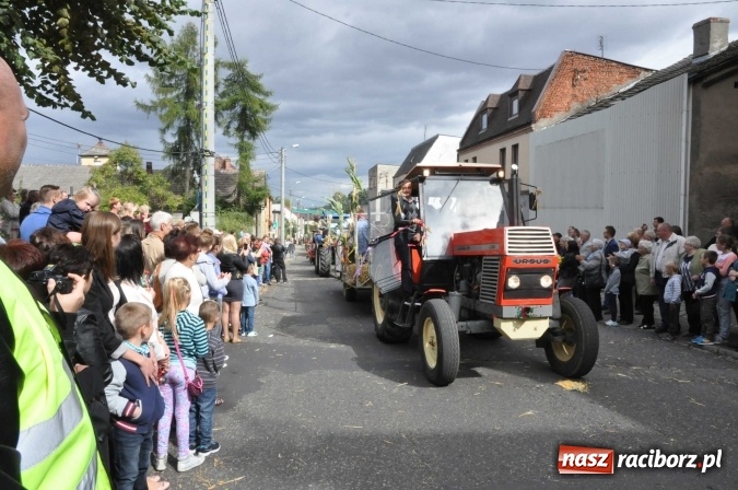 Zdjęcie w galerii na portalu naszraciborz.pl: Dożynki 2015 - święto plonów na 750-lecie miasta wiadomości z regionu