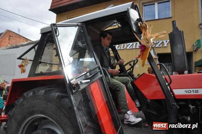 Zdjęcie w galerii na portalu naszraciborz.pl: Dożynki 2015 - święto plonów na 750-lecie miasta wiadomości z regionu