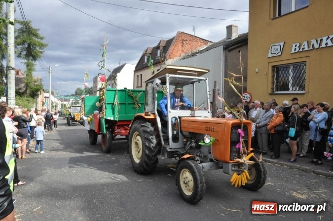 Zdjęcie w galerii na portalu naszraciborz.pl: Dożynki 2015 - święto plonów na 750-lecie miasta wiadomości z regionu