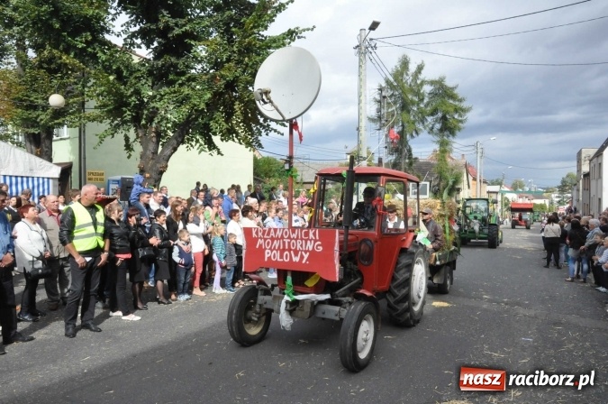 Zdjęcie w galerii na portalu naszraciborz.pl: Dożynki 2015 - święto plonów na 750-lecie miasta wiadomości z regionu