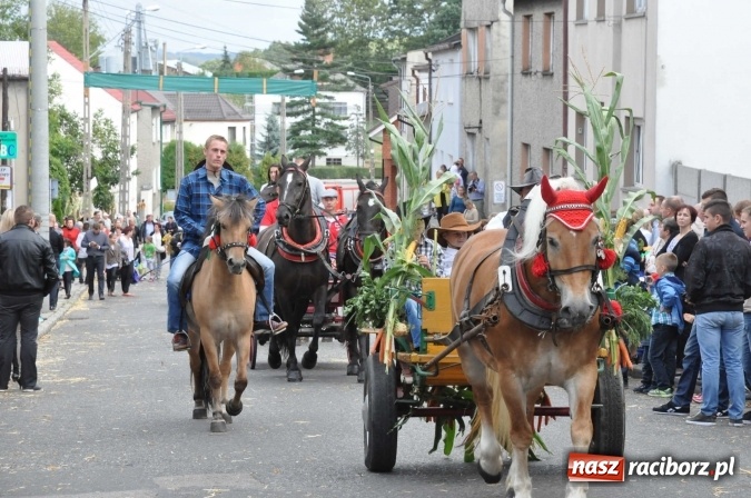 Zdjęcie w galerii na portalu naszraciborz.pl: Dożynki 2015 - święto plonów na 750-lecie miasta wiadomości z regionu