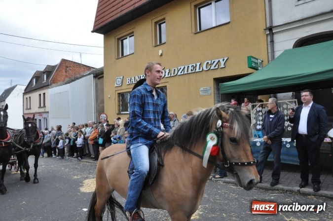 Zdjęcie w galerii na portalu naszraciborz.pl: Dożynki 2015 - święto plonów na 750-lecie miasta wiadomości z regionu