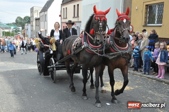 Zdjęcie w galerii na portalu naszraciborz.pl: Dożynki 2015 - święto plonów na 750-lecie miasta wiadomości z regionu