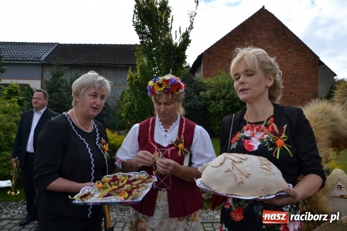 Zdjęcie w galerii na portalu naszraciborz.pl: Dożynki 2015 - W Tworkowie tym razem z ul. św. Jana wiadomości z regionu