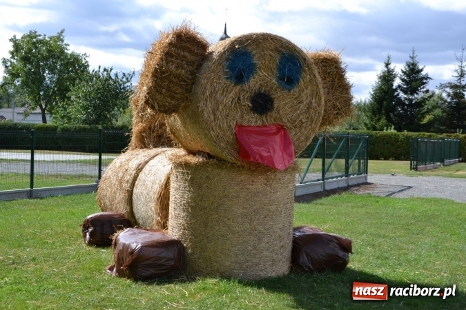 Zdjęcie w galerii na portalu naszraciborz.pl: Dożynki 2015 - Żony najlepiej szukać w Rudyszwałdzie wiadomości z regionu