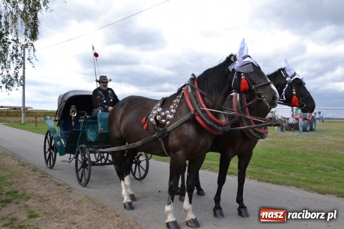 Zdjęcie w galerii na portalu naszraciborz.pl: Dożynki 2015 - Żony najlepiej szukać w Rudyszwałdzie wiadomości z regionu