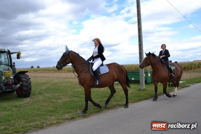 Zdjęcie w galerii na portalu naszraciborz.pl: Dożynki 2015 - Żony najlepiej szukać w Rudyszwałdzie wiadomości z regionu
