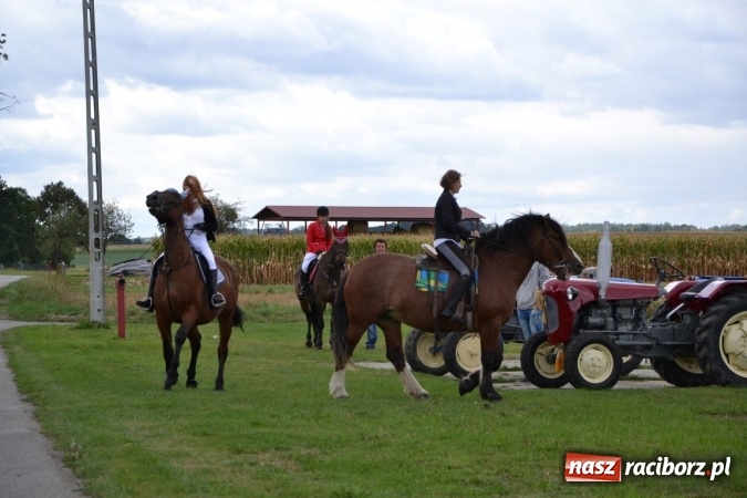 Zdjęcie w galerii na portalu naszraciborz.pl: Dożynki 2015 - Żony najlepiej szukać w Rudyszwałdzie wiadomości z regionu
