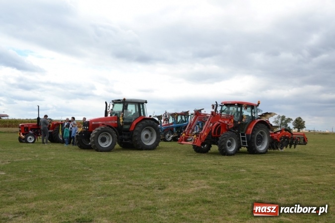 Zdjęcie w galerii na portalu naszraciborz.pl: Dożynki 2015 - Żony najlepiej szukać w Rudyszwałdzie wiadomości z regionu