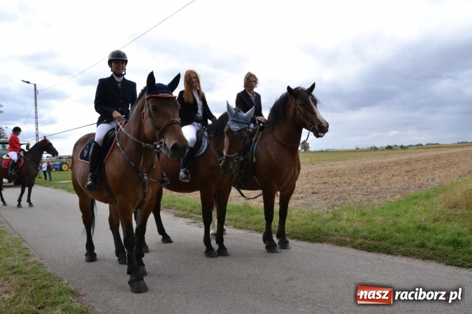 Zdjęcie w galerii na portalu naszraciborz.pl: Dożynki 2015 - Żony najlepiej szukać w Rudyszwałdzie wiadomości z regionu