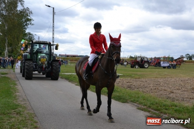 Zdjęcie w galerii na portalu naszraciborz.pl: Dożynki 2015 - Żony najlepiej szukać w Rudyszwałdzie wiadomości z regionu