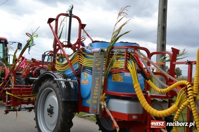 Zdjęcie w galerii na portalu naszraciborz.pl: Dożynki 2015 - Żony najlepiej szukać w Rudyszwałdzie wiadomości z regionu