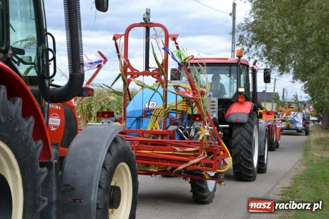 Zdjęcie w galerii na portalu naszraciborz.pl: Dożynki 2015 - Żony najlepiej szukać w Rudyszwałdzie wiadomości z regionu