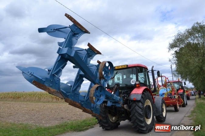 Zdjęcie w galerii na portalu naszraciborz.pl: Dożynki 2015 - Żony najlepiej szukać w Rudyszwałdzie wiadomości z regionu