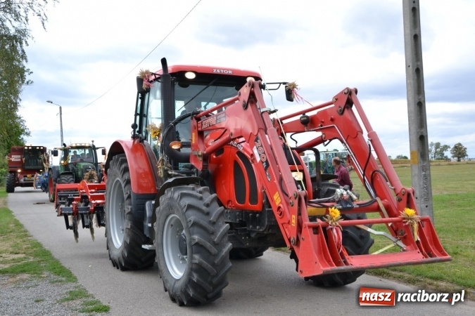 Zdjęcie w galerii na portalu naszraciborz.pl: Dożynki 2015 - Żony najlepiej szukać w Rudyszwałdzie wiadomości z regionu