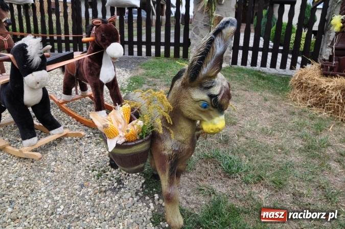 Zdjęcie w galerii na portalu naszraciborz.pl: Barwny korowód, występy i tańce – tak gminne dożynki zorganizowały Łańce wiadomości z regionu