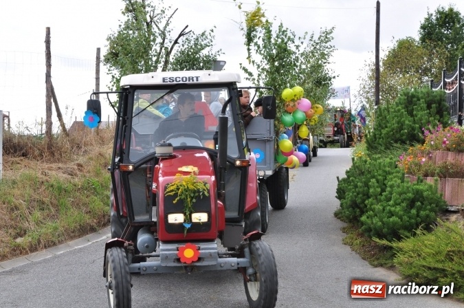 Zdjęcie w galerii na portalu naszraciborz.pl: Barwny korowód, występy i tańce – tak gminne dożynki zorganizowały Łańce wiadomości z regionu