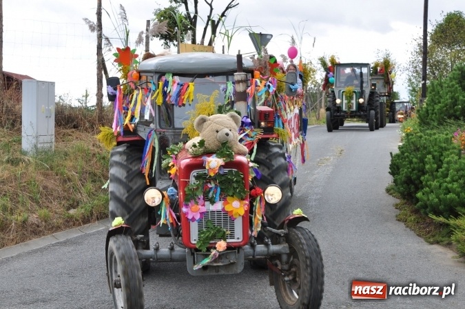 Zdjęcie w galerii na portalu naszraciborz.pl: Barwny korowód, występy i tańce – tak gminne dożynki zorganizowały Łańce wiadomości z regionu