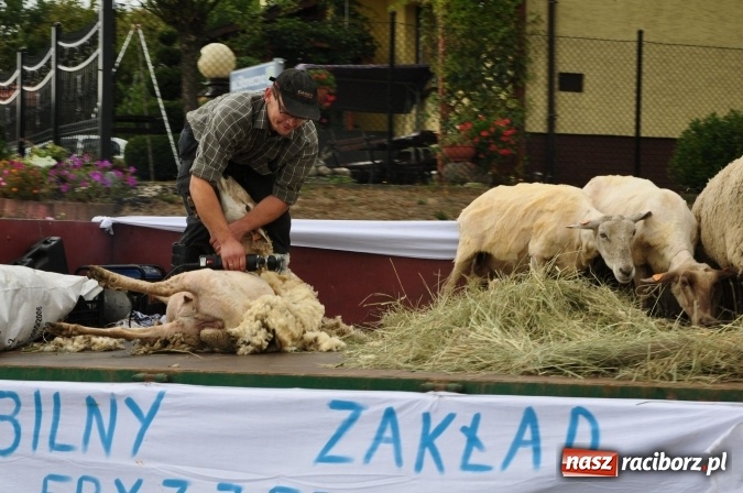 Zdjęcie w galerii na portalu naszraciborz.pl: Barwny korowód, występy i tańce – tak gminne dożynki zorganizowały Łańce wiadomości z regionu