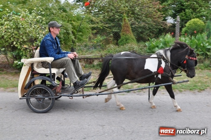 Zdjęcie w galerii na portalu naszraciborz.pl: Barwny korowód, występy i tańce – tak gminne dożynki zorganizowały Łańce wiadomości z regionu