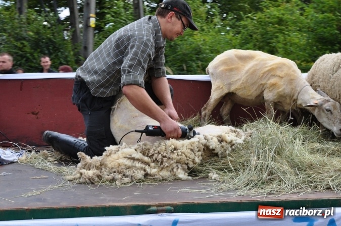 Zdjęcie w galerii na portalu naszraciborz.pl: Barwny korowód, występy i tańce – tak gminne dożynki zorganizowały Łańce wiadomości z regionu
