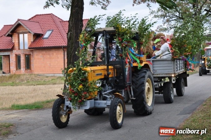 Zdjęcie w galerii na portalu naszraciborz.pl: Barwny korowód, występy i tańce – tak gminne dożynki zorganizowały Łańce wiadomości z regionu