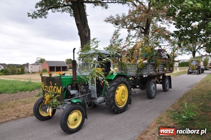 Zdjęcie w galerii na portalu naszraciborz.pl: Barwny korowód, występy i tańce – tak gminne dożynki zorganizowały Łańce wiadomości z regionu