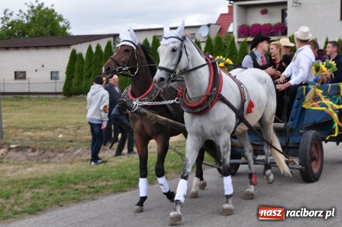 Zdjęcie w galerii na portalu naszraciborz.pl: Barwny korowód, występy i tańce – tak gminne dożynki zorganizowały Łańce wiadomości z regionu
