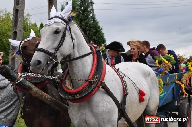 Zdjęcie w galerii na portalu naszraciborz.pl: Barwny korowód, występy i tańce – tak gminne dożynki zorganizowały Łańce wiadomości z regionu