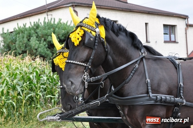 Zdjęcie w galerii na portalu naszraciborz.pl: Barwny korowód, występy i tańce – tak gminne dożynki zorganizowały Łańce wiadomości z regionu