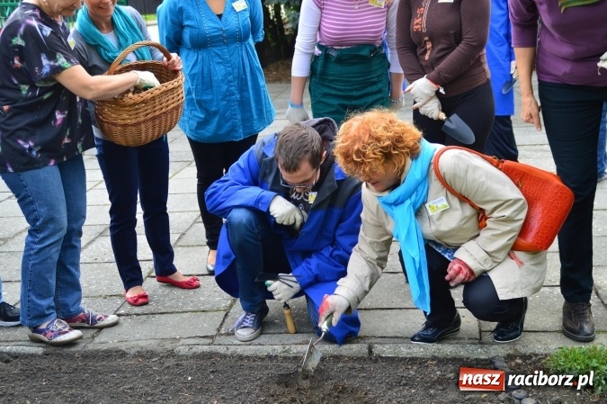 Zdjęcie w galerii na portalu naszraciborz.pl: Dzieci z Zespołu Szk&oacute;ł Specjalnych tworzą pola nadziei wraz z Hospicjum im. św. J&oacute;zefa wiadomości z regionu
