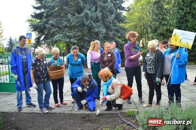 Zdjęcie w galerii na portalu naszraciborz.pl: Dzieci z Zespołu Szk&oacute;ł Specjalnych tworzą pola nadziei wraz z Hospicjum im. św. J&oacute;zefa wiadomości z regionu