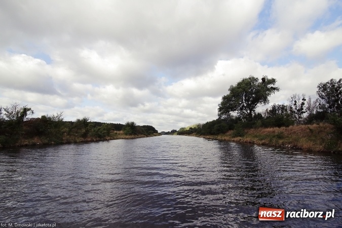Zdjęcie w galerii na portalu naszraciborz.pl: G&oacute;rny Śląsk zmienia swoje oblicze - śluza i lasy w Rudzińcu wiadomości z regionu