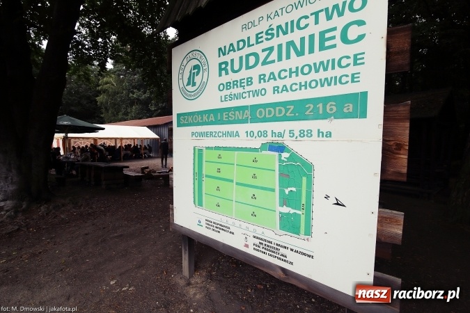 Zdjęcie w galerii na portalu naszraciborz.pl: G&oacute;rny Śląsk zmienia swoje oblicze - śluza i lasy w Rudzińcu wiadomości z regionu