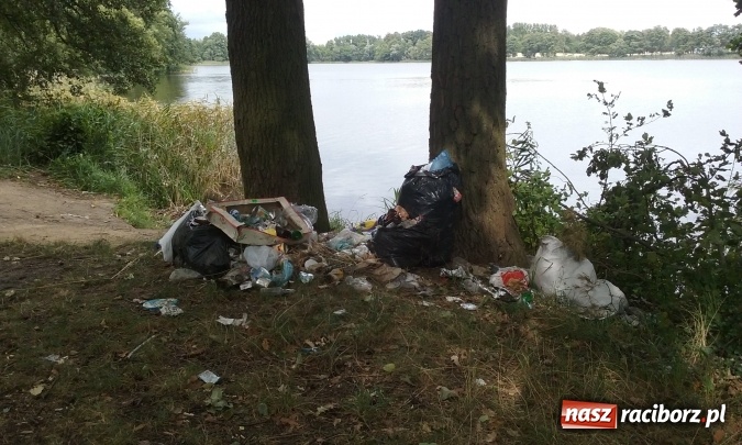 Zdjęcie w galerii na portalu naszraciborz.pl: Mapa dzikich wysypisk zapełnia się  wiadomości z regionu