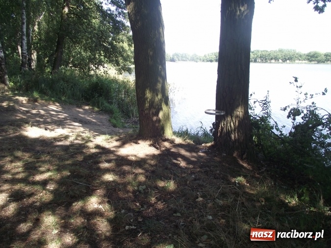 Zdjęcie w galerii na portalu naszraciborz.pl: Mapa dzikich wysypisk zapełnia się  wiadomości z regionu