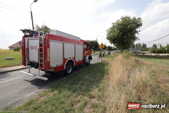 Zdjęcie w galerii na portalu naszraciborz.pl: Gałąź spadła na samochód na Szczecińskiej wiadomości z regionu