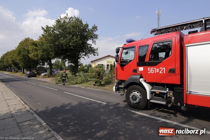 Zdjęcie w galerii na portalu naszraciborz.pl: Gałąź spadła na samochód na Szczecińskiej wiadomości z regionu