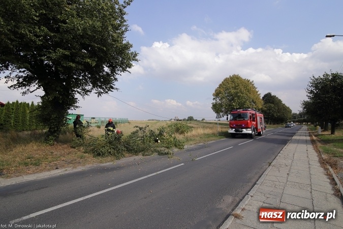 Zdjęcie w galerii na portalu naszraciborz.pl: Gałąź spadła na samochód na Szczecińskiej wiadomości z regionu