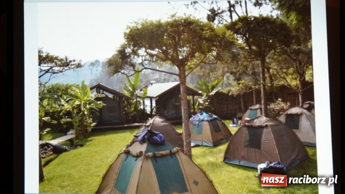 Zdjęcie w galerii na portalu naszraciborz.pl: Sen o Gorylach we mgle wiadomości z regionu