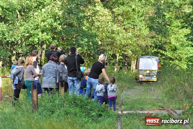 Zdjęcie w galerii na portalu naszraciborz.pl: Przejażdżki drezynami i problem likwidacji linii, czyli piknik drezynowy w Oborze wiadomości z regionu