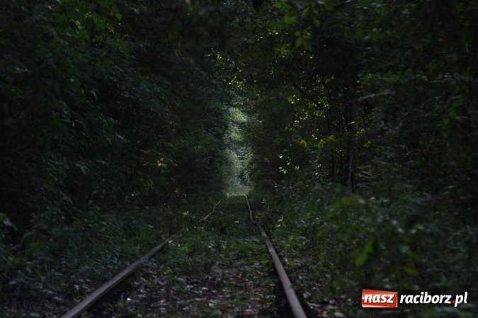 Zdjęcie w galerii na portalu naszraciborz.pl: Przejażdżki drezynami i problem likwidacji linii, czyli piknik drezynowy w Oborze wiadomości z regionu