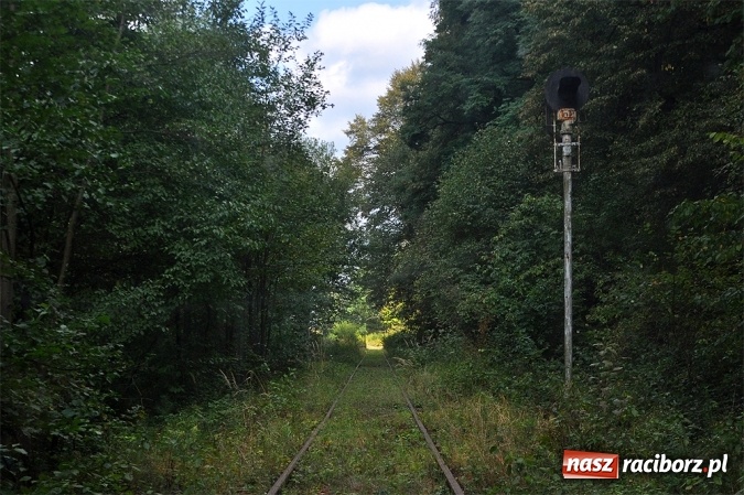 Zdjęcie w galerii na portalu naszraciborz.pl: Przejażdżki drezynami i problem likwidacji linii, czyli piknik drezynowy w Oborze wiadomości z regionu